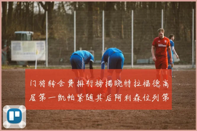 门将转会费排行榜揭晓特拉福德高居第一凯帕紧随其后阿利森位列第三